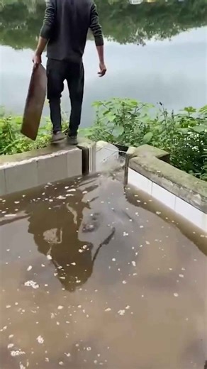 Big Fish Catches by Experts with Amazing Skills