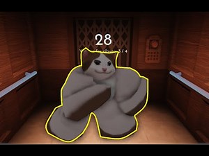 Pop Cat Dancing to Elevator Sound - Roblox Doors | 1 HOUR Music