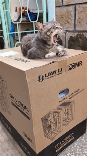 Shuffle Personal Computers on Instagram: "Monday blues... Should we make a part 2? #shufflepcs #craftsmanworkshop"