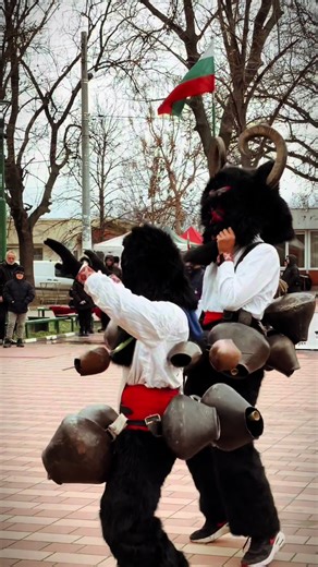 The Kukeri are Bulgarian dancers who dress up in giant, shaggy costumes made of animal fur and wear tall, scary masks. They walk through villages during the winter, shaking heavy metal bells tied to their waists to make a very loud noise. This tradition is meant to scare away evil spirits, bring good luck to the farmers, and welcome the warmth of spring. It is a colorful, noisy celebration that people have enjoyed for hundreds of years. #кукери #bulgarian #bulgariantiktok #traditional #fy