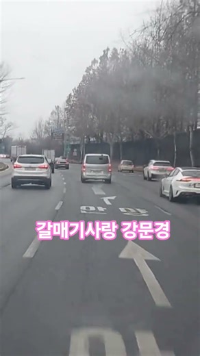 갈매기사랑 강문경 유튜브라이브지존 검색💛❤️💚💚🧡🩷💙💙💜🩵🩵🧡🧡💚💚❤️