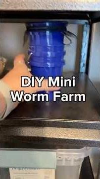 DIY Mini Worm Farm | Vermicomposting Tiny System #vermicomposting
