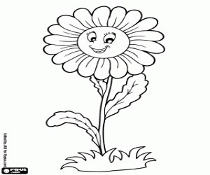A daisy, a flower coloring page printable game