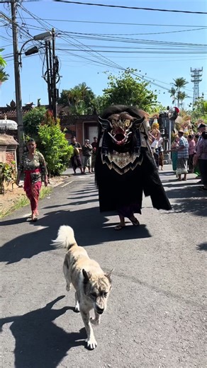 Are you a lover of Balinese cultural traditions? Do you want to experience firsthand how Balinese traditions are? Do you want to get closer and feel the friendliness of Balinese people? Let's experience a unique, interesting, fun and unforgettable experience of Balinese cultural traditions. ✳️✨Welcome to the True Local Bali Experience✨✳️ with this tour we will visit local balinese villages, learn the traditional bali life and how they do their farming. 📍Activities : ✅Visit local elementary scho