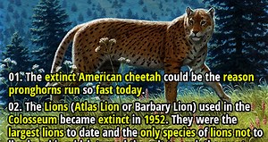 35 Interesting Facts about Extinct Animals and Birds - Fact Republic