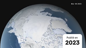 Animation de la formation de la banquise en Arctique
