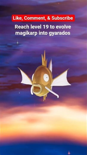 How to evolve magikarp #pokemon #pokemonlegendsz-a