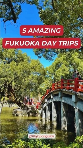 Fukuoka's got its own magic, and these day trips are how the locals do it right.