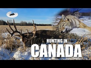 Hunting Whitetails & Predators in Canada | Raw Wilderness Adventure