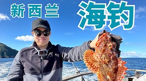 新西兰海钓！肉眼可见超多鱼！