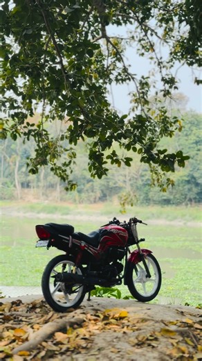 Nature talks…..😌🤍 | Tarzan Pilot