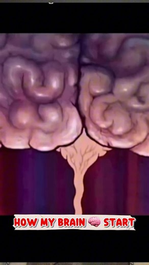 How my start working #foryou #uber #viraltiktok #viral #foryoupage❤️❤️