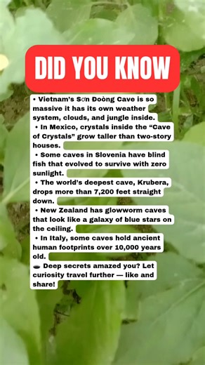 Unbelievable Cave Secrets From the Deepest Places on Earth 🕳️🌍🤯 #facts | Daily Brain T