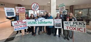 Washington state makes history: First in the world to permanently ban commercial net pens to protect wild salmon, Orcas and Puget Sound ecosystems | Islands' Weekly