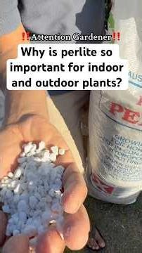 Perlite के हो , किन यो धेरै महत्वपूर्ण छ Outdoor & Indoor Plants लाई कसरी Use गर्ने ? #fyb #foru