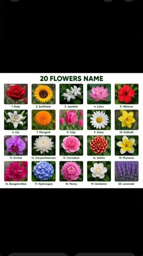 20 flower name #flower