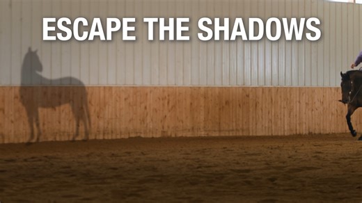 When your horse suffers from joint disease, they live in the shadow of their former self. Legend® (hyaluronate sodium) helps them escape the shadows by modifying the clinical signs and the disease itself.1 Plus, with over two decades of treatment success, LEGEND is proven safe and effective.​ 1 LEGEND product label | Boehringer Ingelheim Equine Health