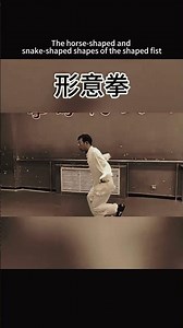 The horse-shaped and snake-shaped shapes of the shaped fist