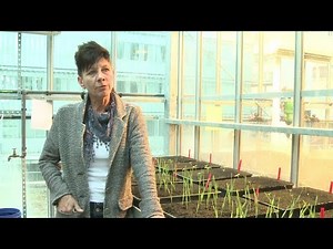 Environmental Scientists and Specialists, Including Health Career Video