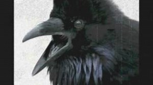 The Raven Lyrics - Alan Parsons Project | eLyrics.net