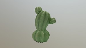 Cactus - 3D model by Eduue