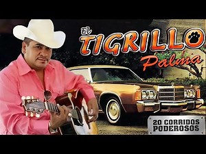 El Tigrillo Palma Mix Puros Corridos - 20 Exitos De El Tigrillo Palma
