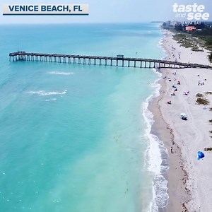 Venice Beach is the shark tooth capital of the world 🦈🏖😎 Details >> https://wfts.tv/2AiyDgQ via Zack Perry | Taste and See Tampa Bay