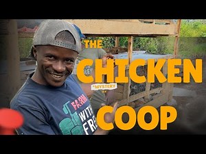 How to Build the Perfect Chicken Coop | Cheap, Safe, and Easy Design
