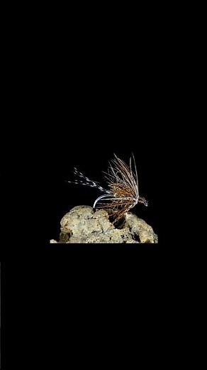 March Brown Soft Hackle Wet Fly #flytying #howtotieflies #howto #shorts