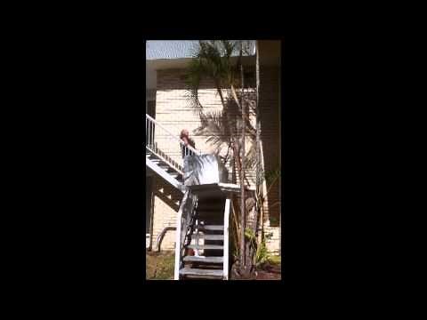 how to move a fridge downstairs