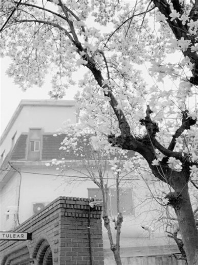 Understanding Relationship Dynamics with Obsessive Traits