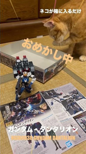 ガンダムダンタリオン cat in the box 鉄血のオルフェンズ 月鋼 #猫のいる暮らし #ガンプラ #gundam #cat