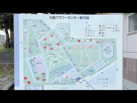 『大船フラワーセンターでポケモンGO散歩 花とポケモンでまったり最高』11月22日に行ってきました☆彡いい夫婦の日☆彡結婚記念日☆彡