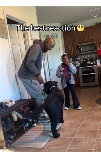 Surprise a puppy with my kids 🥹#fyp #surprise #reaction #puppy #best | surprise with a puppy
