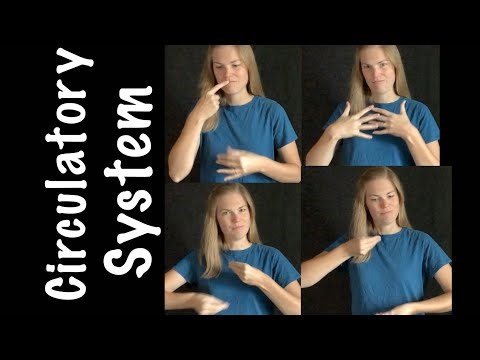 Circulatory System (ASL)