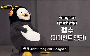 关种企鹅‘Pengsoo’EBS出道D-3!! teaser.2