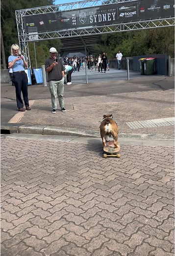 SLS Skateboarding Moments with Giotto Making New Skater Friends