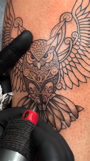 Owl Tattoo lining art #tattooartist #owl #shorts #inked #trendingreels