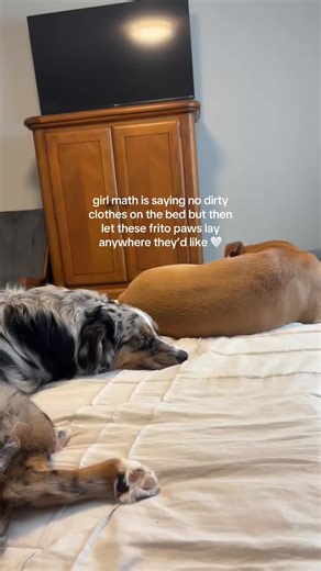 Understanding Girl Math in Dog Ownership