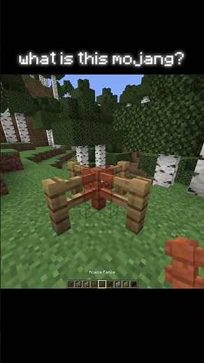 Minecraft Sus Moment 💀