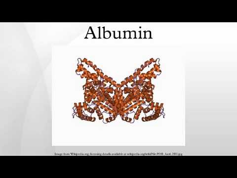 Albumin