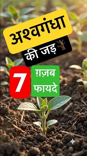 Ashwagandha Root: 7 Powerful Benefits You Must Know! 🌿 #shorts #trending2026 #vivia #ytshorts