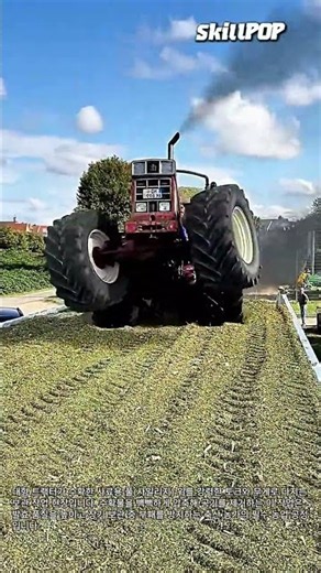 사료 보관성을 높이는 트랙터 압축 작업 #worker #process #tractor #farming #machinery
