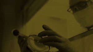 The coronavirus and its impacts on Boston. WBZ News brings you a half-hour special this evening at 5:30 with insight from local researchers and scientists https://cbsloc.al/2QcciWZ | WBZ / CBS News Boston