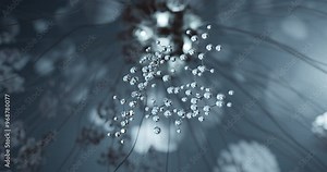 Deruxtecan rotating 3d molecule, molecular structure of derivative exatecan, seamless video