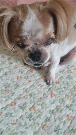 오늘은 쫌 개 피곤하네..