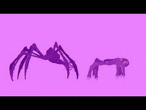 Scylla conhecendo a Kumonga (The giant enemy spider)