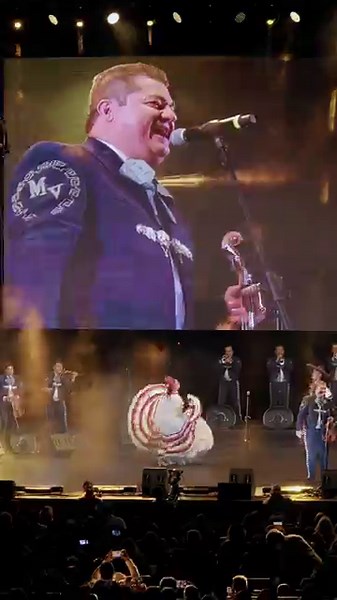 Sones Jaliscienses (En Vivo) 🤩