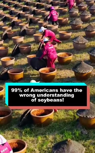 99% of Americans have the wrong understanding of soybeans! #eating #foryourpage #delicious #cooking | Theforager90