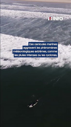 Les océans viennent de connaître le mois de juin le plus chaud jamais observé